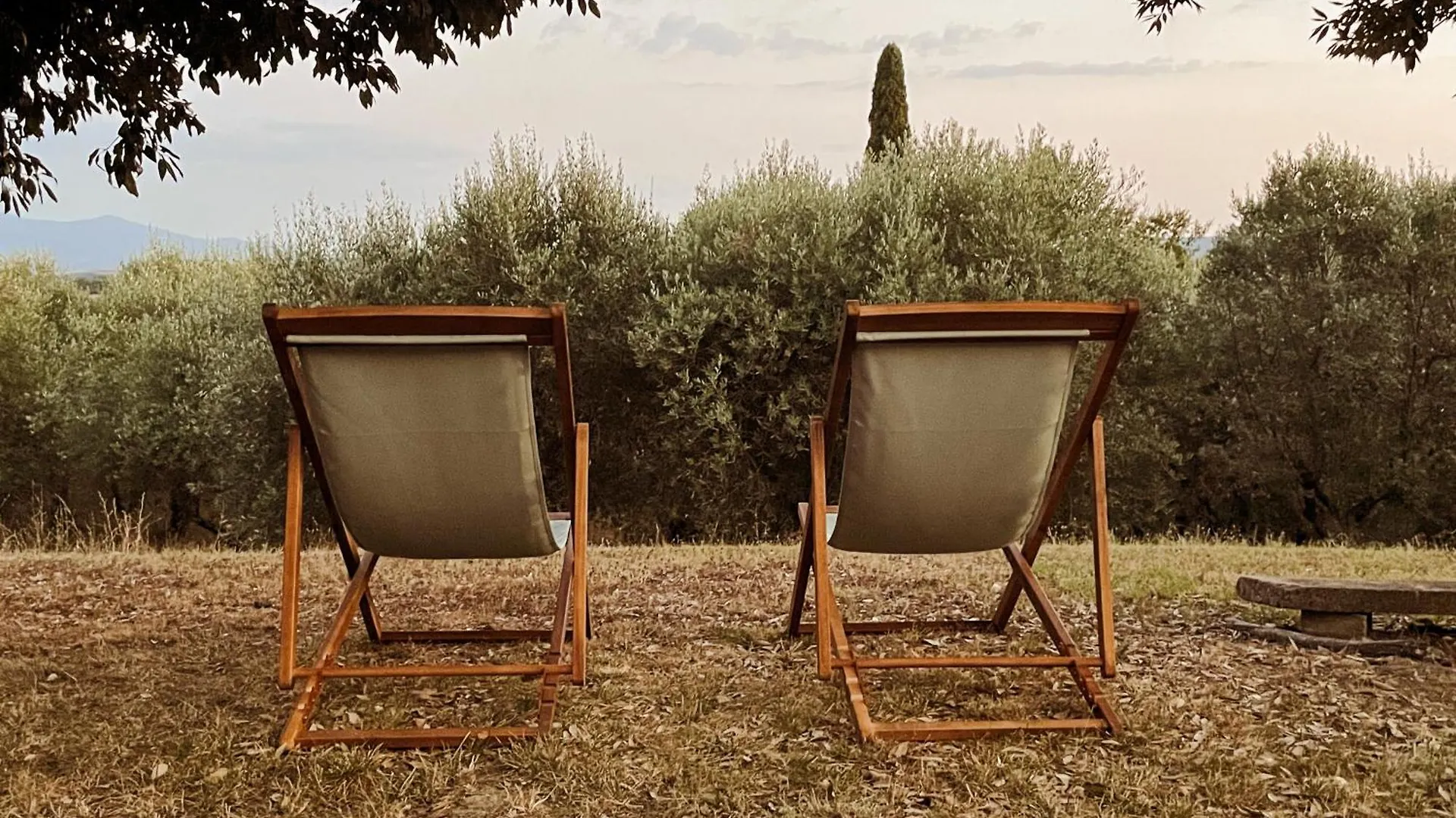 Poggio Dell Amore - Beautiful Tuscan Country House Buonconvento